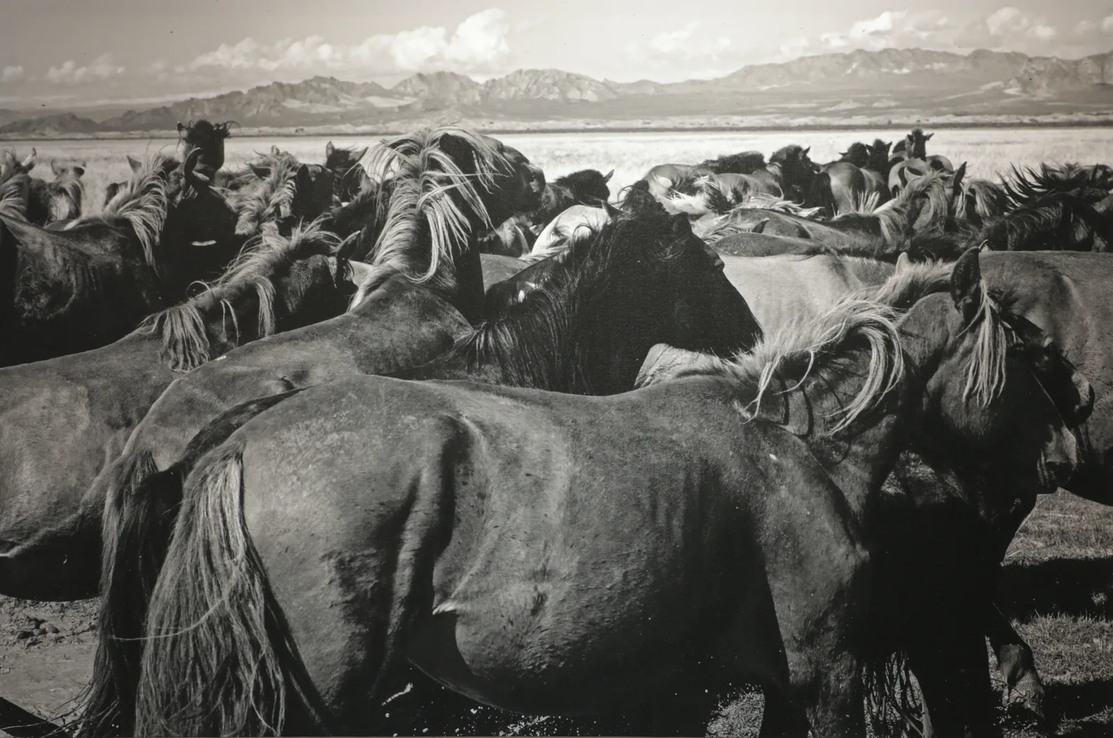 Photography on Canvas by Ryan John Peters