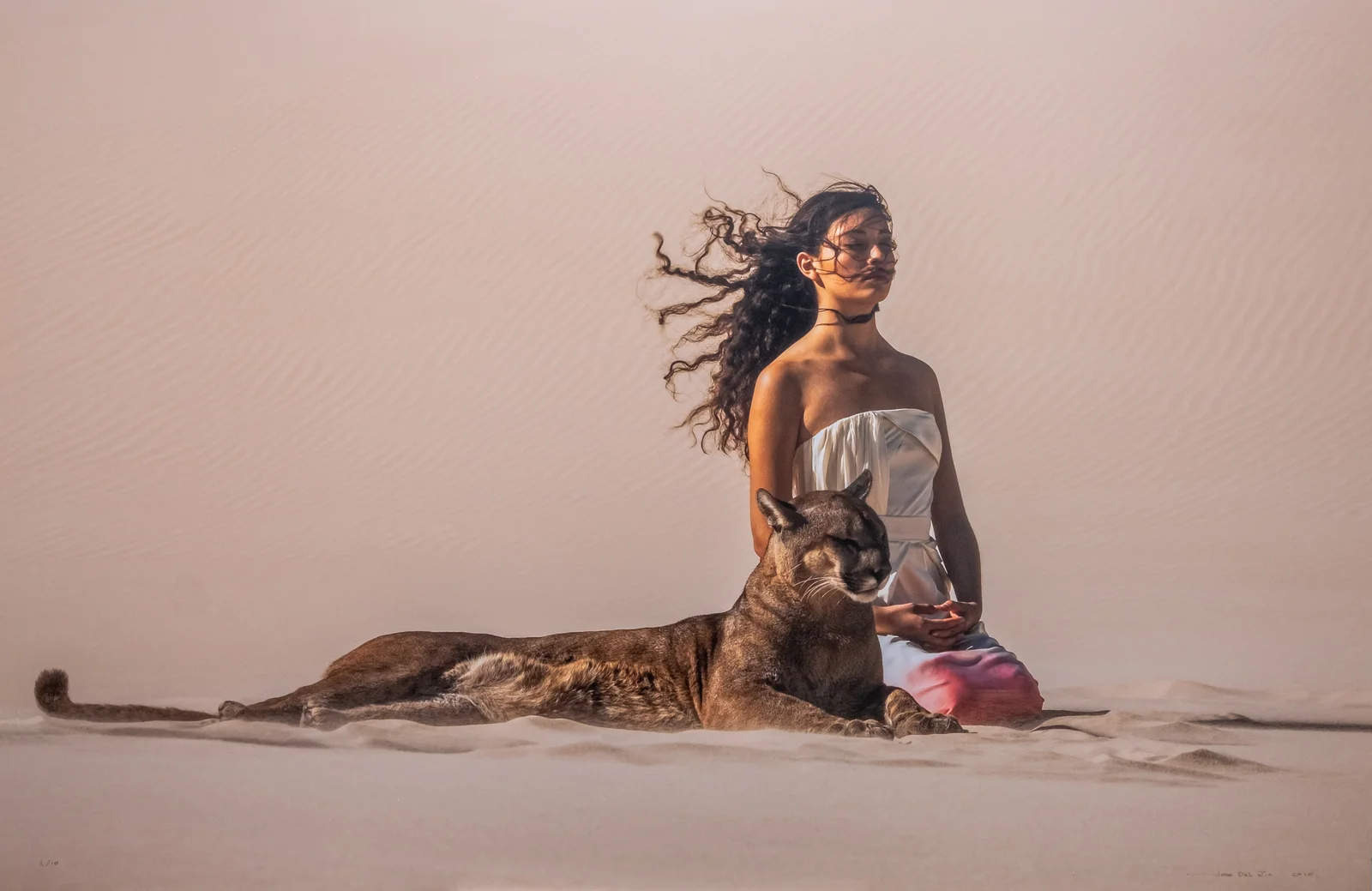 Desert Calm by Jose Del Rio